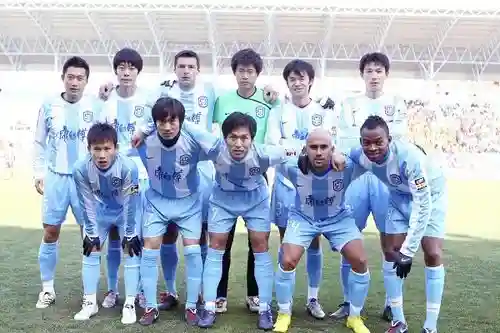 2010泰达阵容插图1
