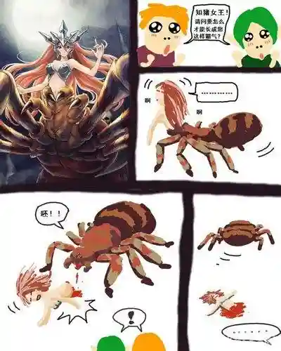 魔卡幻想蜘蛛人女王第四技能