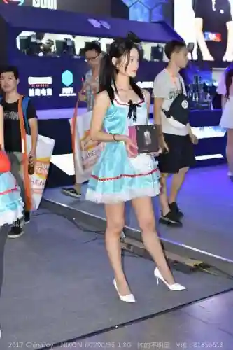 chinajoy2017攻略