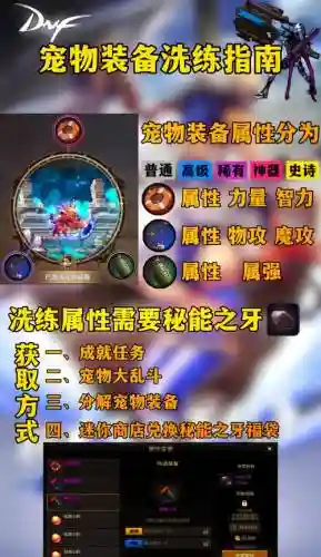 dnf2017宠物装备选什么_1插图