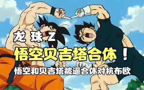 悟空合作阵容搭配