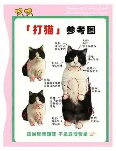 b格猫入侵攻略插图