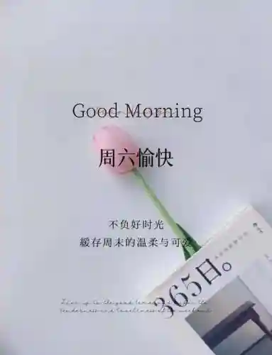 周六活动阵容搭配图，周六活动文案