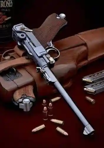 枪炮戴什么武器好，枪炮带什么武器插图