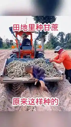 农夫有什么技能，农夫有什么技能吗插图1