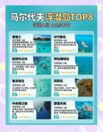 海之号角神秘海怪岛屿攻略，海之号角礁岛攻略插图