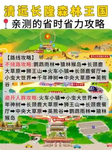 森林王国最强阵容搭配，森林王国游戏平台插图1