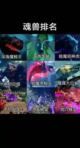 斗罗主蜘蛛阵容搭配，斗罗大陆主蜘蛛阵容搭配