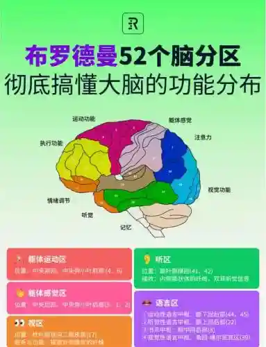 brainiton攻略大全60，brain dots攻略插图