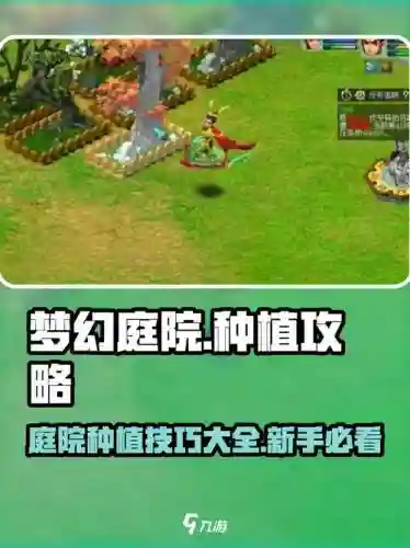 梦幻西游种花需要大型庭院吗，梦幻西游大型庭院可以种多少花