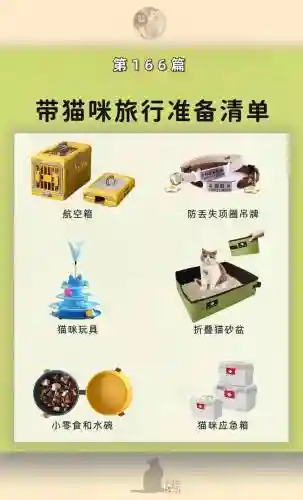 带猫出门装备，带猫出门玩 要准备什么插图1