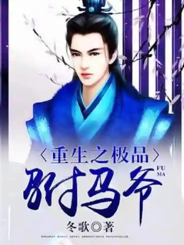 极品驸马爷攻略，小说极品驸马爷
