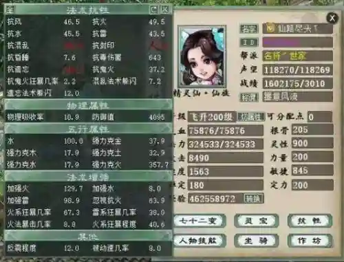 大话西游2女仙玩什么技能，大话2女仙怎么配装备插图