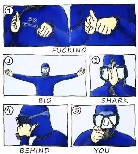 去潜水都怎么拿装备,拿了潜水术去哪插图 去潜水都怎么拿装备,拿了潜水术去哪插图