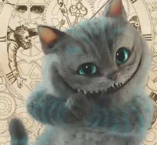 爱丽丝与仙境里的猫攻略，爱丽丝梦游仙境爱丽丝与猫的对话插图