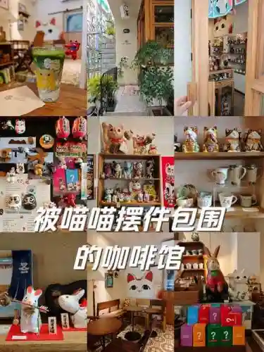 猫咖啡店喜好攻略，咖啡猫咪店插图
