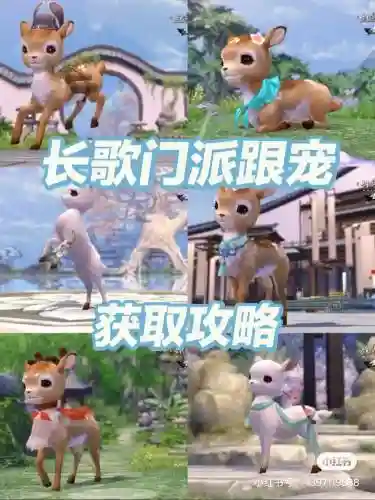 剑3跟宠攻略，剑三跟宠获取攻略插图1