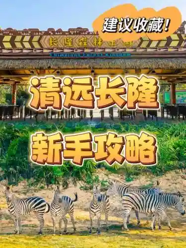 森林王国最强阵容搭配，森林王国游戏平台插图