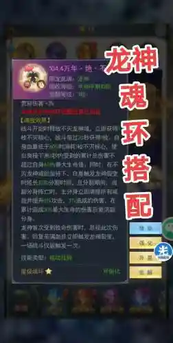 武魂龙纹装备有几件，斗罗大陆龙武魂魂环搭配插图