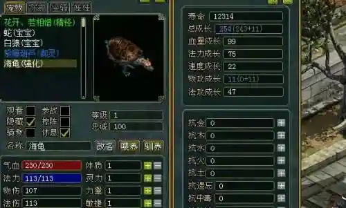 问道宝宝海龟没有技能，问道海龟宝宝加点
