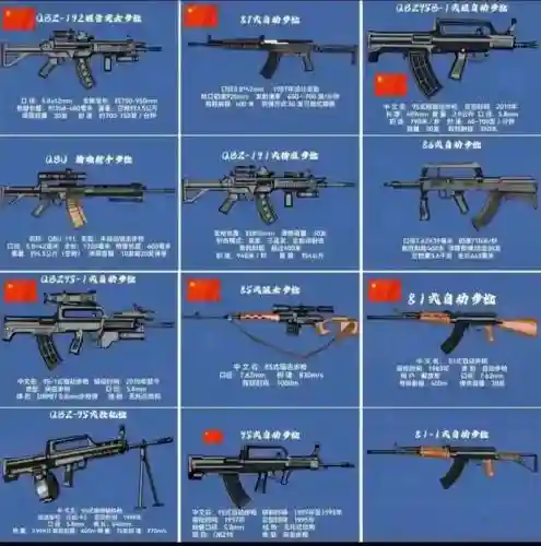 光荣使命81武器排行，光荣使命上架时间插图1