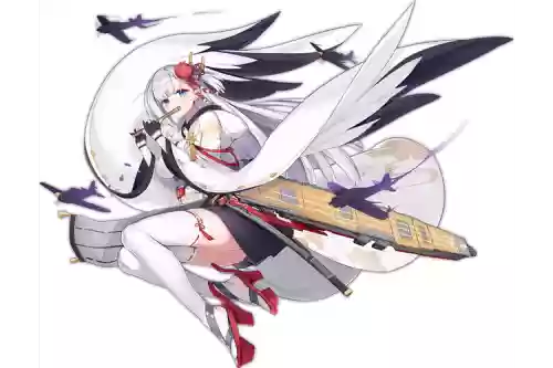 战舰少女翔鹤开技能么，战舰世界翔鹤配件带什么插图