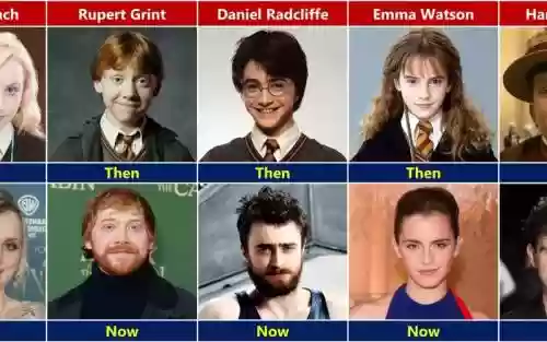 哈利波特当前主流阵容搭配,哈利波特前期最强阵容插图 哈利波特当前主流阵容搭配,哈利波特前期最强阵容插图