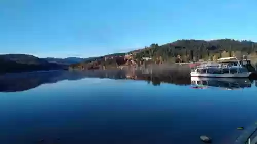 晨心阵容搭配推荐，晨心app是什么软件插图1